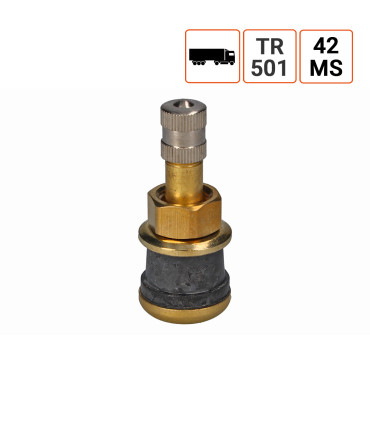 Valve Poids Lourds TR 501 42MS