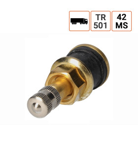Valve Poids Lourds TR 501