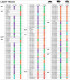 Microbilles d'équilibrage PL en sachet individuel -  170 gr. ou 6 oz