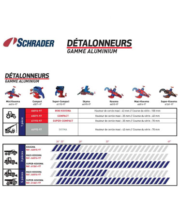 gamme detalonneur Schrader
