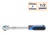 Cliquet téléscopique 1/2 pouce 305 à 445 mm Qualité PRO