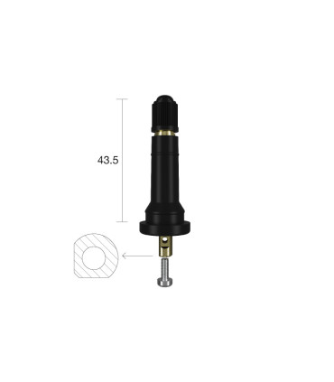 Valve TPMS type Schrader New Generation