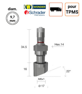 Valve Nickelées Poids-Lourds ALCOA pour TPMS