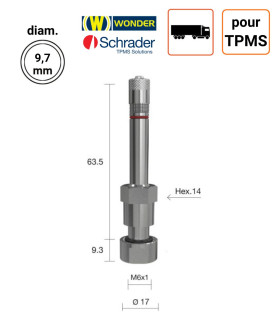 Valve Nickelées Poids-Lourds ALCOA pour TPMS