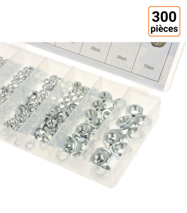 Lot de 300 écrous en acier