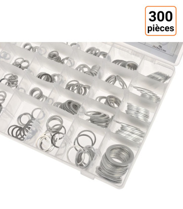 Lot de 300 rondelles
