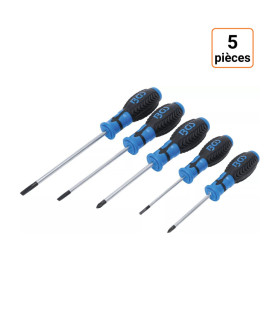Lot de 5 tournevis cruciforme et à fente