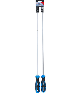  cruciformes PH - 2