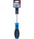  Tournevis Torx T25 100 mm - 4