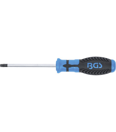  Tournevis Torx T30 100 mm - 2