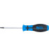  Tournevis Torx avec perçage T10 80 mm - 2
