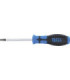  Tournevis Torx avec perçage T15 80 mm - 2