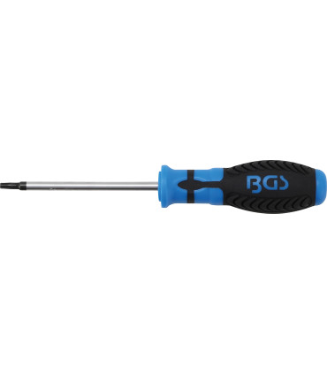 Tournevis Torx avec perçage T25 100 mm - 1