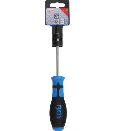  Tournevis Torx avec perçage T25 100 mm - 2
