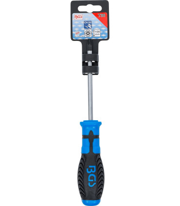  Tournevis Torx avec perçage T30 100 mm - 3