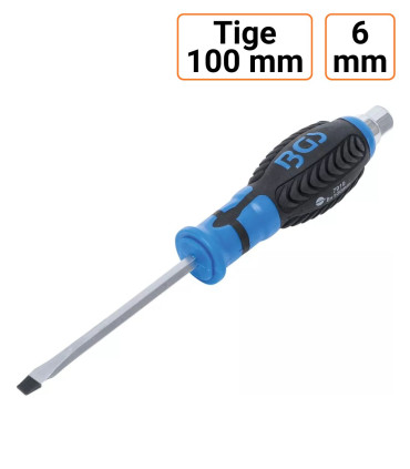 Tournevis plat 6 mm avec 6 pans extérieur 100mm de long