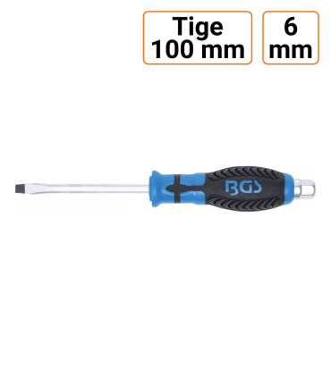 Tournevis plat 6 mm avec 6 pans extérieur