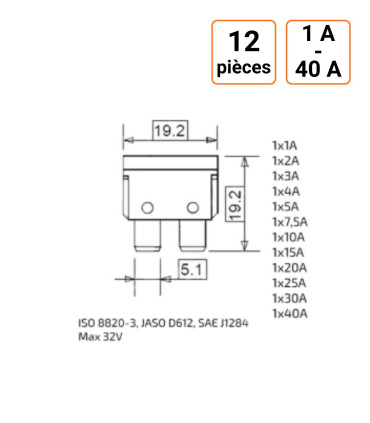 Blister de 12 fusibles standards panachés