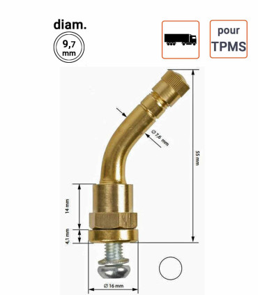 Valve Poids-Lourds pour TPMS type 2123
