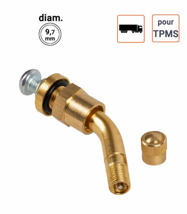 Valve Poids-Lourds TPMS type 2123