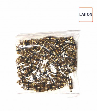 Obus de valves en laiton par 100 ex.