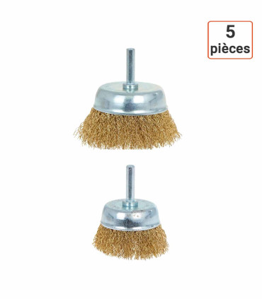Lot de 5 brosses métalliques