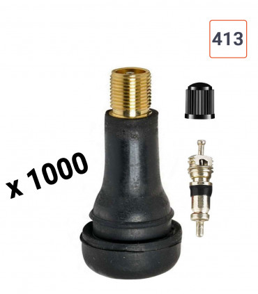 Valves TR 413 DÉMONTÉES pneu tubeless par 1000ex