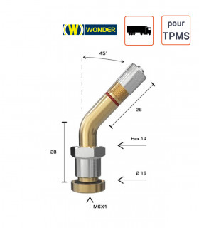 Valve Nickelées Poids-Lourds pour TPMS